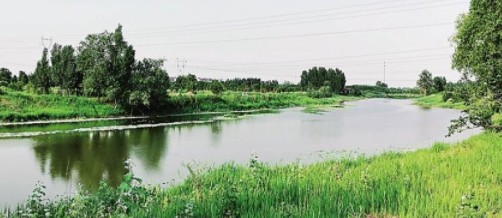 01.jpg